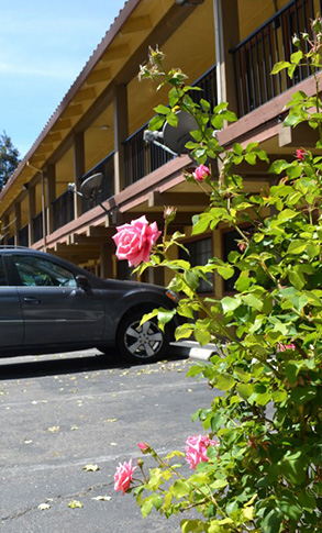 BEAUTIFULLY MANICURED GROUNDS WITH AMPLE PARKING