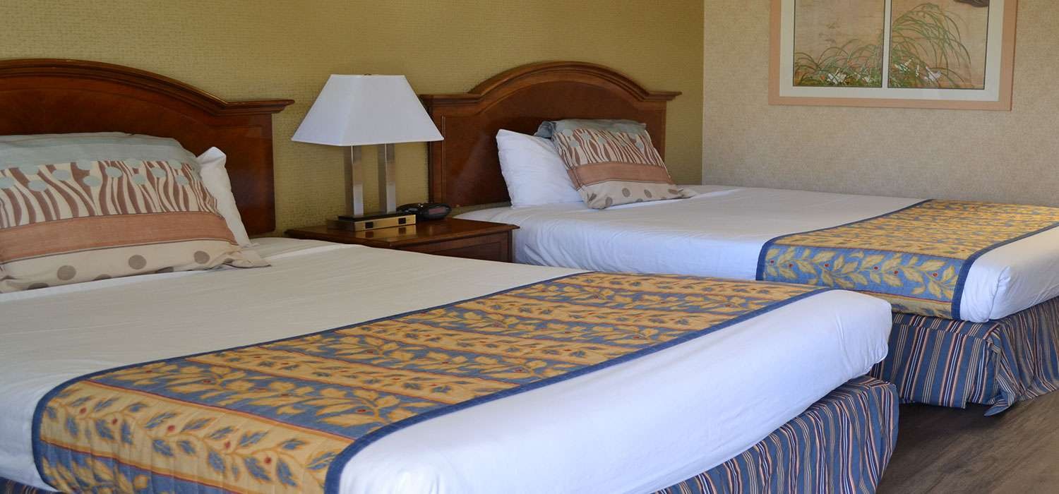 ENJOY WELL-EQUIPPED MODERN COMFORTS IN OUR SAN JOSE GUEST ROOMS 